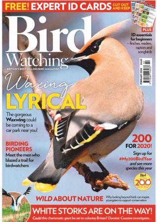 FreeCourseWeb Bird Watching UK February 2020