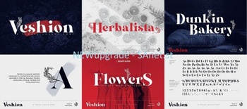 DesignOptimal Al Veshion Regular