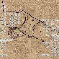 Yofukashi no Uta 10 480p 10B51A31 Erai raws TGx