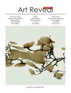 DevCourseWeb Art Reveal Issue 56 December 2020