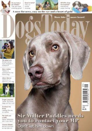 FreeCourseWeb Dogs Today UK September 2020