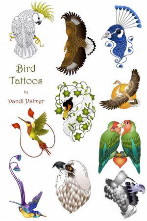 FreeCourseWeb Bird Tattoos