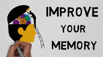 FreeCourseWeb Ultra Memory Training Improving Your Memory and Boost Your Memory