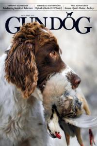 Gun Dog November 2023 FreeCourseWeb