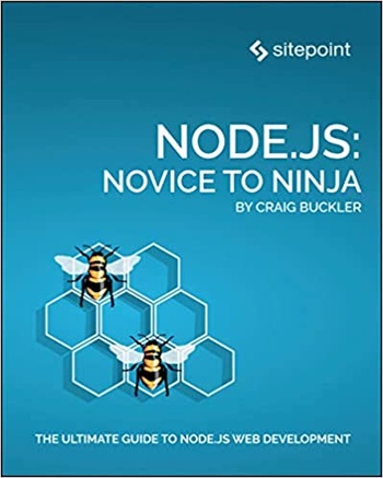 Node js Novice to Ninja DevCourseWeb