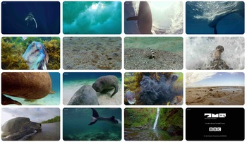 Spy in the Ocean S01E02 Deep Feelings 1280x720p HD 50fps soft Eng subs