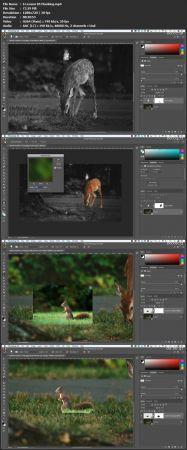 Skillshare Learning Adobe Photoshop for Beginners FreeCourseWeb