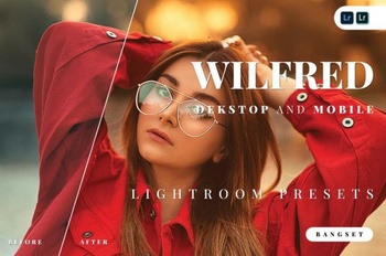 DesignOptimal Wilfred Desktop and Mobile Lightroom Preset