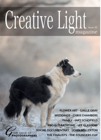 FreeCourseWeb Creative Light Issue 35 2020