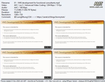 Linkedin VMS Development for Functional Consultants