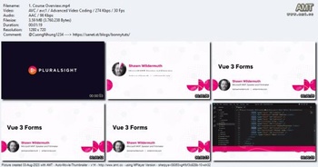 Vue 3 Forms by Shawn Wildermuth