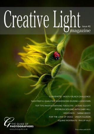 DevCourseWeb Creative Light Issue 41 2021
