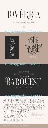 DesignOptimal Loverica Regular