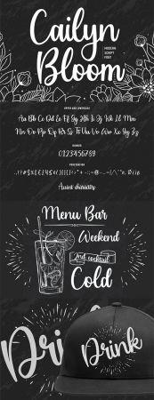 DesignOptimal Cailyn Bloom Modern Font