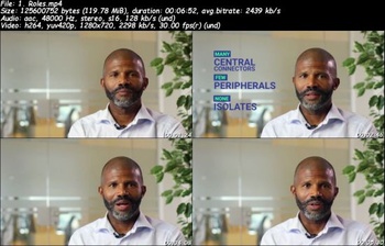 Udemy Network Leadership An Introduction