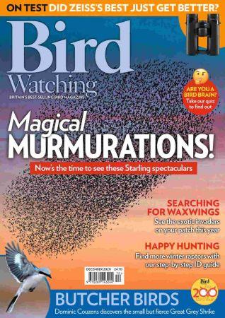 DevCourseWeb Bird Watching UK December 2020