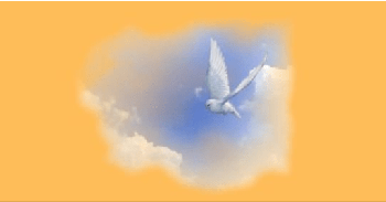 FreeCourseWeb Udemy First Steps into Spiritual Enlightenment