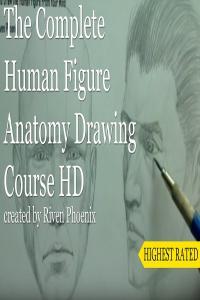 Udemy Complete Human Figure Anatomy Drawing Course