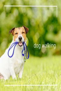 Various Artists dog walking 2023 Mp3 320kbps PMEDIA