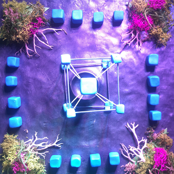 dream pop indie rock 2019 Twin Limb In the Warm Light As a Ghost FLAC DarkAngie