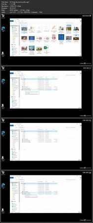 FreeCourseWeb Lynda PowerPoint Essential Training Office 365 Microsoft 365