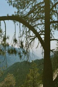 morningtime lean in 2023 24Bit 44 1kHz FLAC PMEDIA