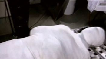 Life After People S01E01 The Bodies Left Behind History Channel 1080p M4V AVC AAC DVDrip 1 04GB