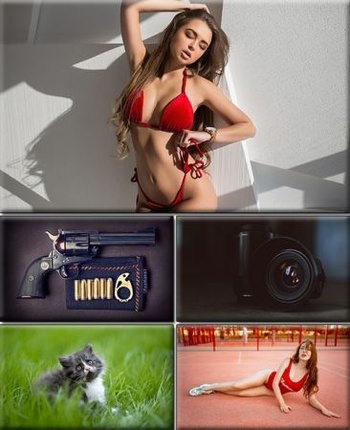 DesignOptimal Computer Desktop Wallpapers Collection Part 2500