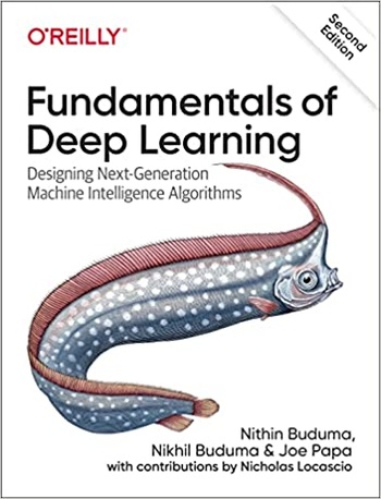 Fundamentals of Deep Learning 2nd Edition