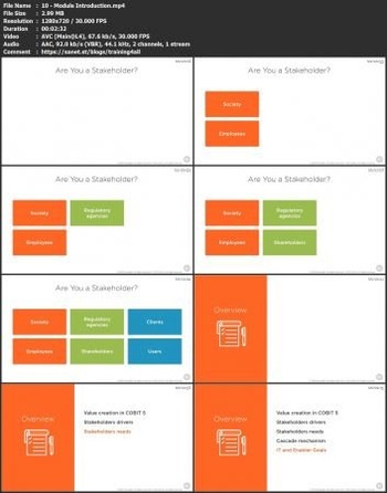 FreeCourseWeb PluralSight Understanding IT Governance Drivers and Principles