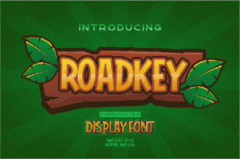 DesignOptimal Roadkey Kids Font