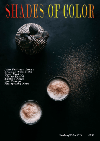 FreeCourseWeb Shades of Color No 14 2020