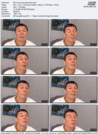 Udemy AP CSP Computer Science Principles and Python