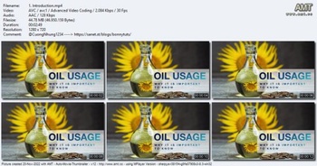 Udemy Oil Bath Massage Benefits and Importance Master Class
