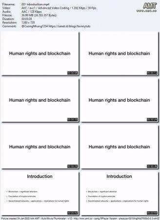 Udemy Blockchain and human rights