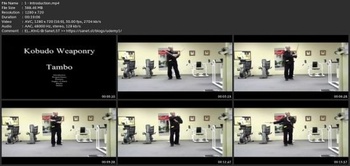 Udemy Martial Arts Tambo Training