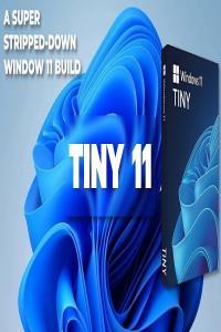 Tiny11 v2023 10 Windows 11 Lite Pre Activated haxNode