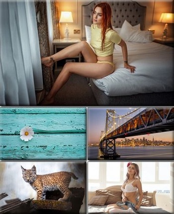 DesignOptimal Computer Desktop Wallpapers Collection Part 2501