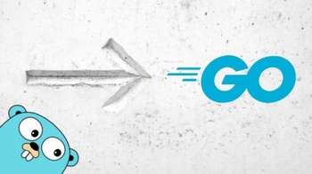 FreeCourseWeb Udemy Golang Getting Started