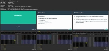 Udemy Option Basics