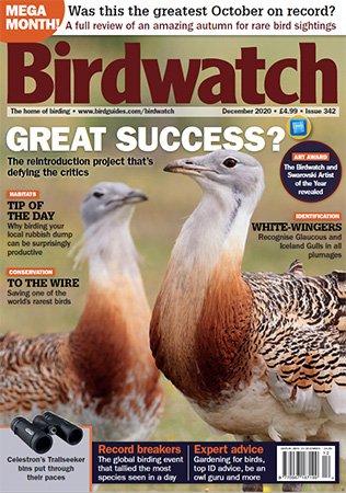DevCourseWeb Birdwatch UK December 2020