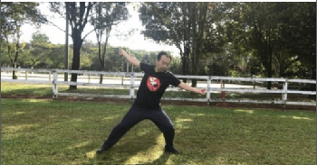 FreeCourseWeb Udemy Aerobic Tai Chi Workout Original Chen Style Old Form Two