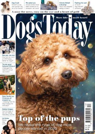FreeCourseWeb Dogs Today UK December 2020 January 2021