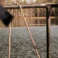 Monster Croc Wrangler Compilations S04E01 HDTV x264 PHOENiX