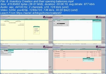 Udemy Tally ERP 9 Project Based Training for Finance Professionals