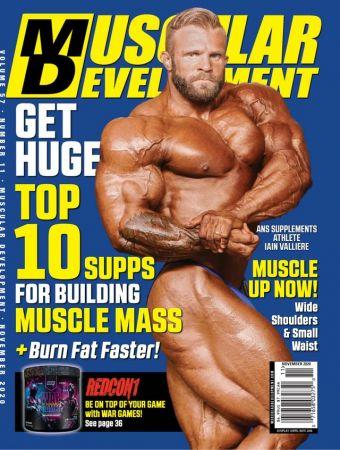 FreeCourseWeb Muscular Development November 2020