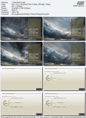 Udemy Datapump Expdp Impdp Course For Oracle DBA s