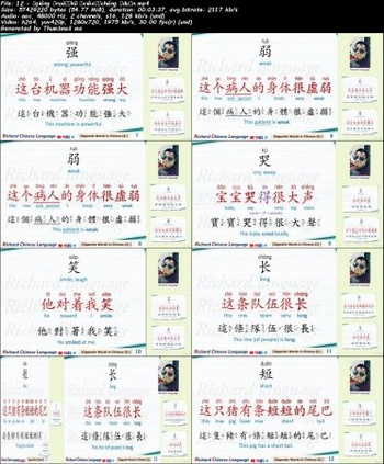 Udemy All in One Easy Chinese with Teacher Richard