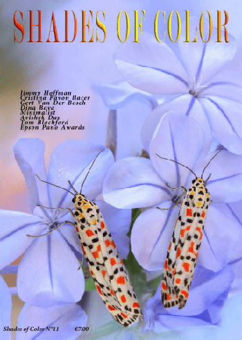 FreeCourseWeb Shades of Color No 11 2020