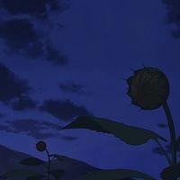 Hula Fulla Dance Movie 720p Multiple Subtitle 872E0E71 Erai raws TGx